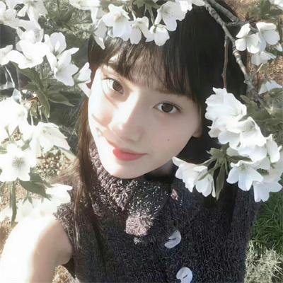 爸妈来自二次元